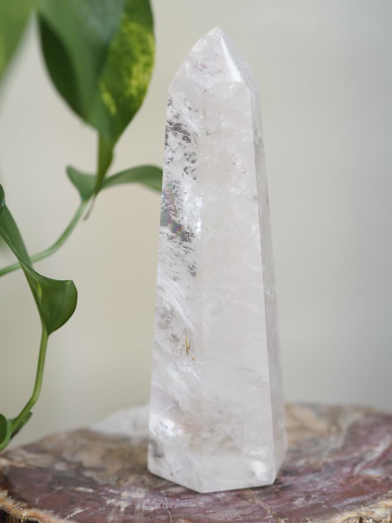 156 Kristal brouseny spice Brazilie